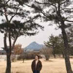 A Smooth and Memorable Journey to South Korea. shot with oldroll classic m.